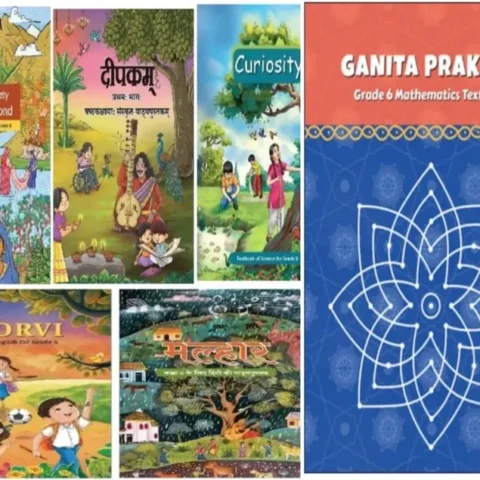 Ncert Book set class 6 Hindi, English, Science, Sanskrit and SST ,Math 2024 Edition New Syllabus  (Paperback, Team Ncert)